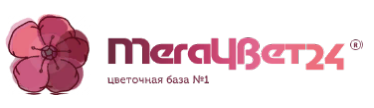 Мегацвет24